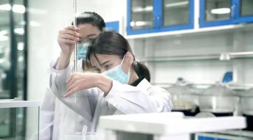 專訪「生生不息」 當寵物食品遇上非商業思維，一場關于愛與責任的奔赴